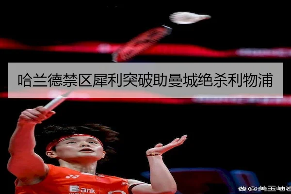 ha-lan-de-jin-qu-xi-li-tu-po-zhu-man-cheng-jue-sha-li-wu-pu-2-623.jpg